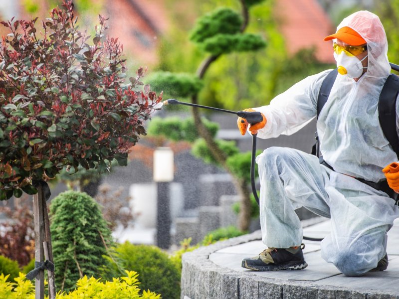 Yalvaç Haşere İlaçlama